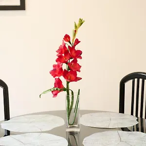 Aligrama Appartement
